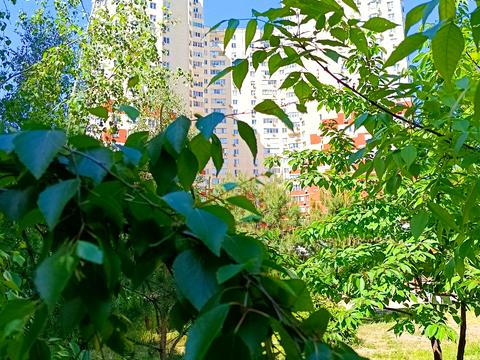 квартира по адресу Княжий Затон ул., 9