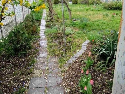 будинок за адресою Далека вул., 24