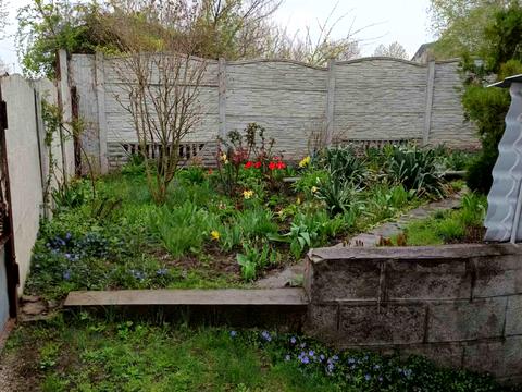 будинок за адресою Далека вул., 24