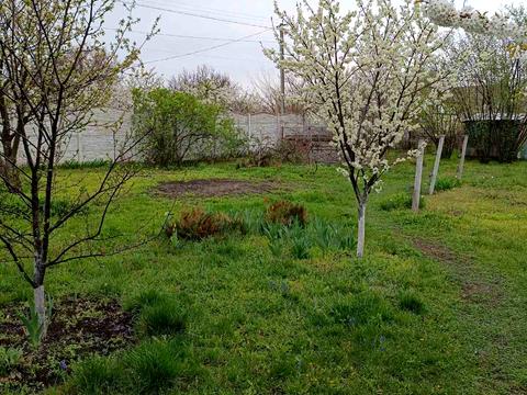 будинок за адресою Далека вул., 24