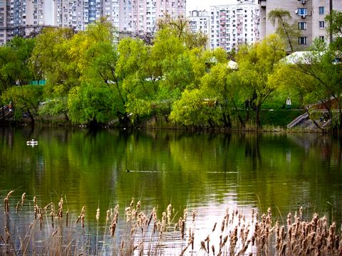 квартира по адресу Драгоманова ул., 31-А