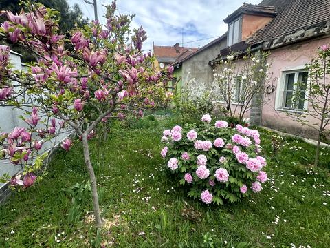 будинок за адресою Віталія Постолакі пл.