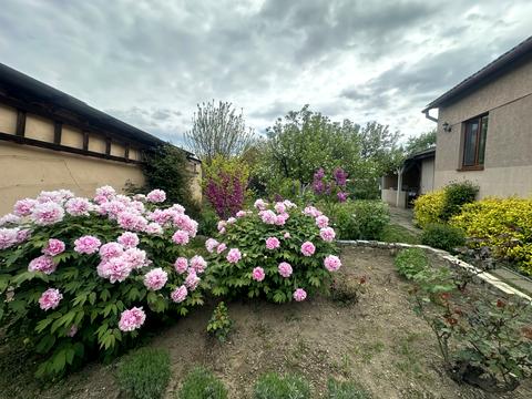 будинок за адресою Віталія Постолакі пл.