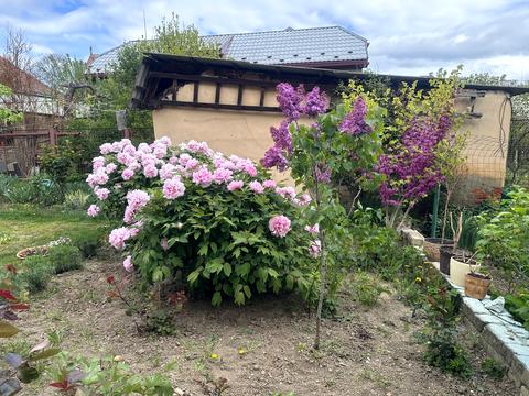 будинок за адресою Віталія Постолакі пл.