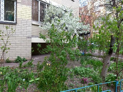 квартира по адресу Антоновича ул. (Горького), 125-А