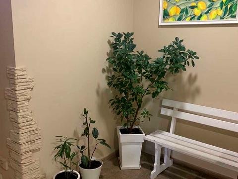 квартира за адресою Робоча вул., 148