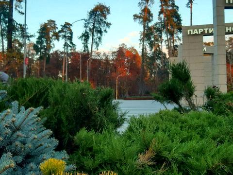 квартира по адресу Ревуцкого ул., 42