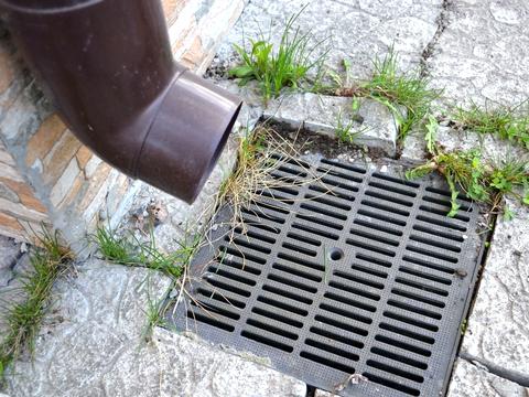 дом по адресу Горького