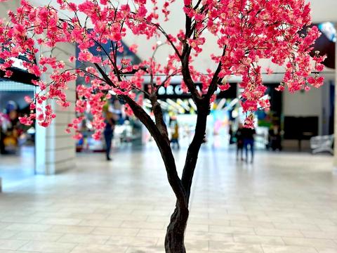 квартира за адресою Олександра Олеся вул., 17-А