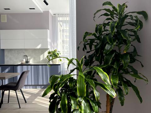 квартира за адресою Мокра вул. (Кудряшова), 20-Б