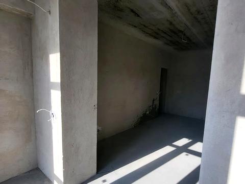 1863155515646624