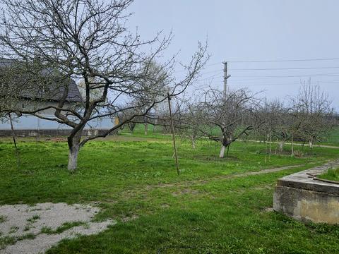 будинок за адресою Каштанова