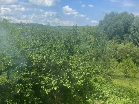 участок по адресу Берегова, 82