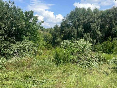 участок по адресу Берегова, 82