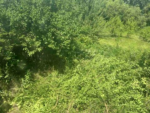 участок по адресу Берегова, 82