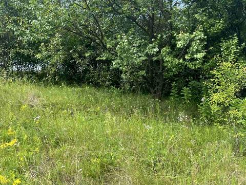 участок по адресу Берегова, 82