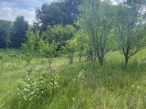 участок по адресу Берегова, 82