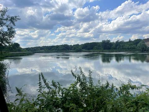 участок по адресу Берегова, 82