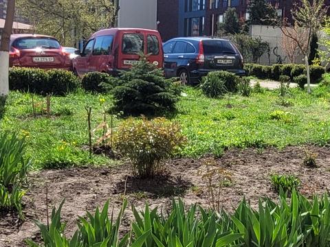 квартира по адресу Голосеевский просп. (40-летия Октября), 19