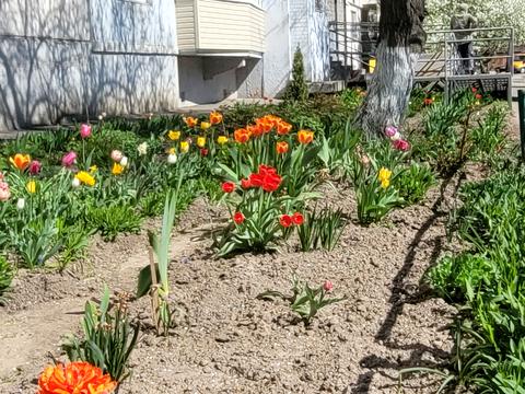 квартира по адресу Голосеевский просп. (40-летия Октября), 19