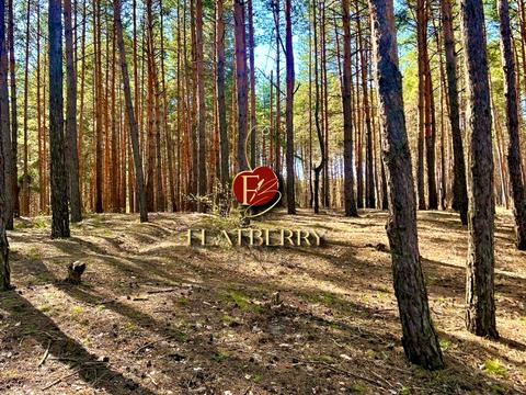 будинок за адресою с. Хлепча, Хлепча