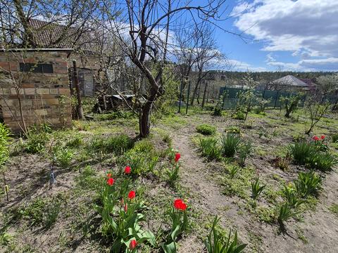 дом по адресу Вишнева ул., 50