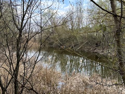 ділянка за адресою Нечуя Левицького