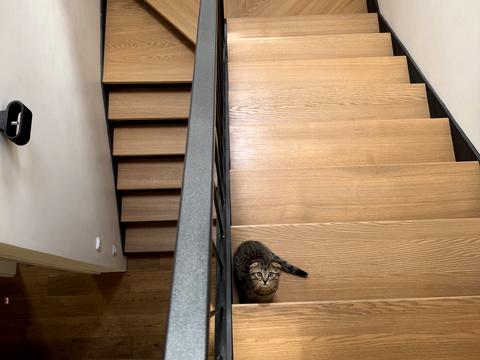 дом по адресу Соборна ул.