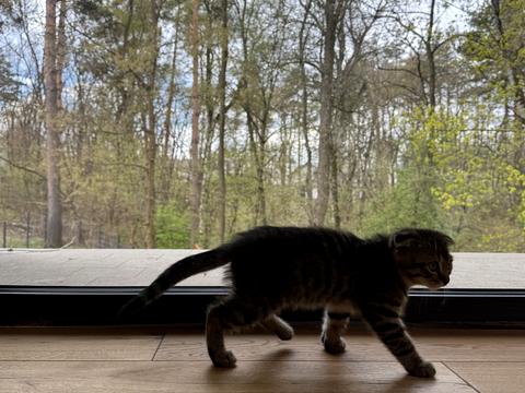 дом по адресу Соборна ул.