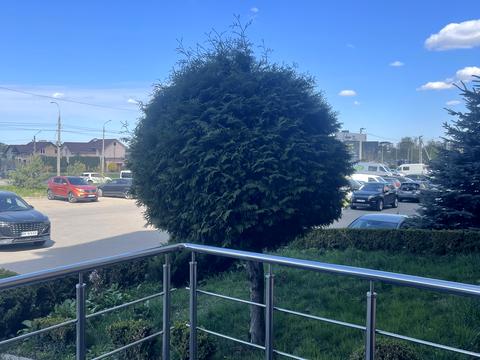 коммерческая по адресу Счастливая ул., 14