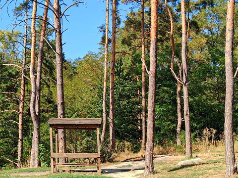 квартира за адресою Кургузова вул., 1а к1