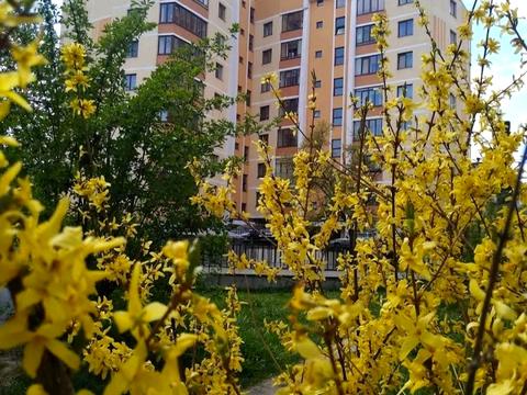 квартира по адресу Городоцкая ул., 245а