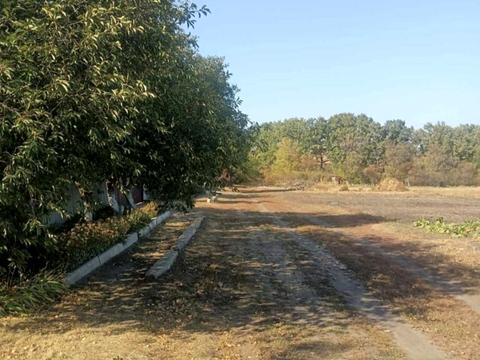 участок по адресу Молодіжна