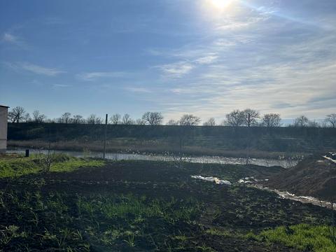 ділянка за адресою Масив, 24