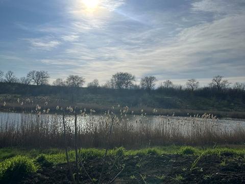 ділянка за адресою Масив, 24