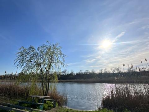 ділянка за адресою Масив, 24