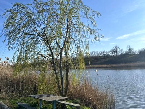 ділянка за адресою Масив, 24