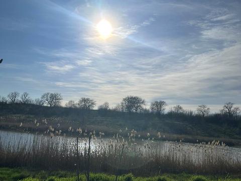 ділянка за адресою Масив, 24