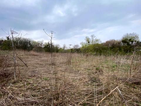 участок по адресу Осовица ул.