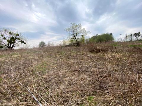 участок по адресу Осовица ул.