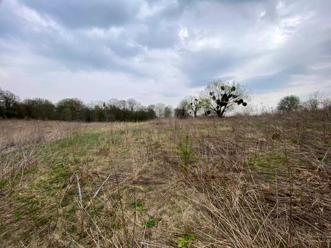 участок по адресу Осовица ул.