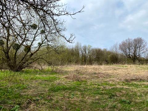 участок по адресу Глинки ул.