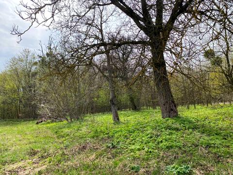 участок по адресу Глинки ул.