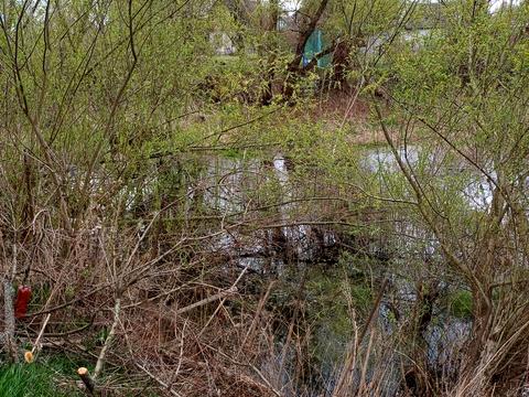дом по адресу Придеснянская ул.