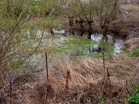 дом по адресу Придеснянская ул.