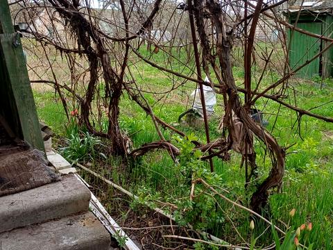 дом по адресу Придеснянская ул.