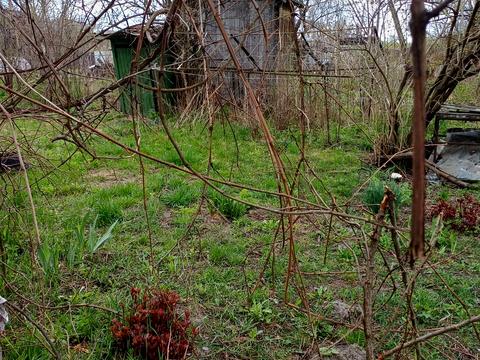дом по адресу Придеснянская ул.