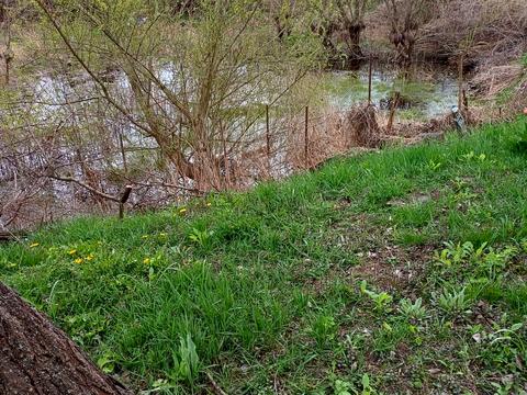 дом по адресу Придеснянская ул.