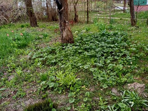 дом по адресу Придеснянская ул.