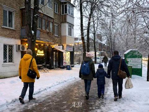 комерційна за адресою Щусєва вул., 13
